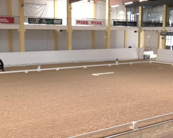Dressurturnier Stadl Paura 2023