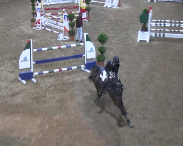 Reitturnier Hövelhof 2023