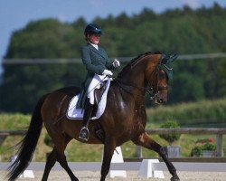 dressage horse Fine Design S (Westphalian, 2014, from Fürstenball)