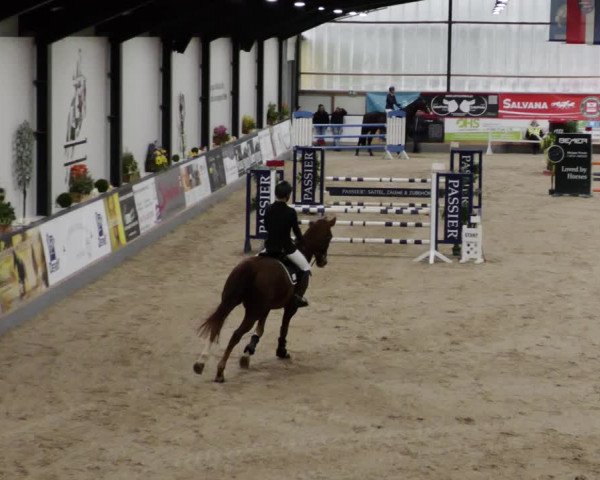 Reitturnier Borken 2023
