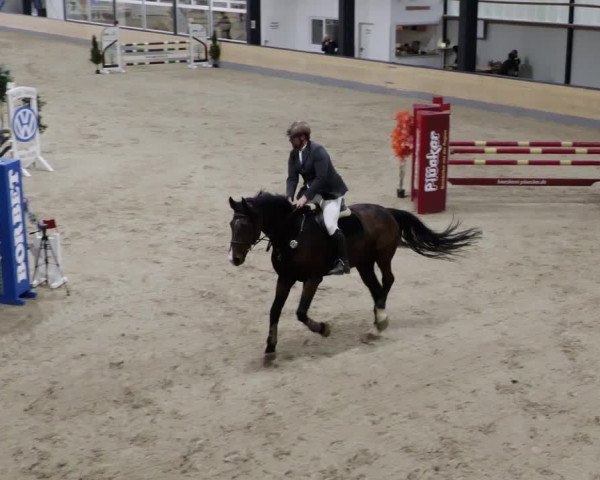 Reitturnier Borken 2023