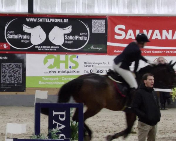 Reitturnier Borken 2023