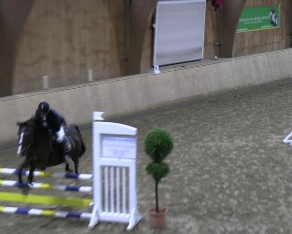 Reitturnier Hövelhof 2023