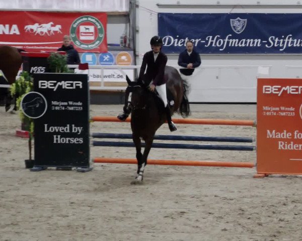 Reitturnier Borken 2023