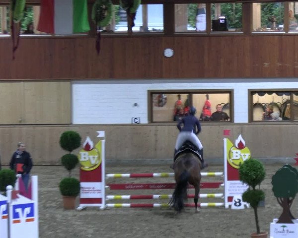 Reitturnier Hövelhof 2023
