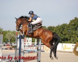 jumper Shakira G (German Sport Horse, 2010, from Quality Boy)