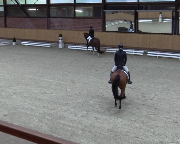 Reitturnier Hamburg-Friedrichshulde/Sylva Kuhrt 2023