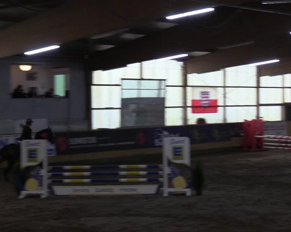 Reitturnier Pausin 2023