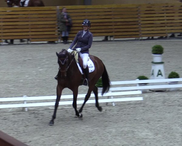 Reitturnier Hamburg-Friedrichshulde/Sylva Kuhrt 2023