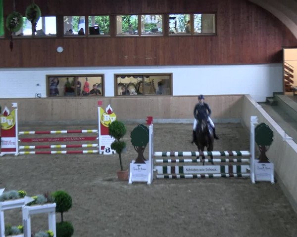 Reitturnier Hövelhof 2023