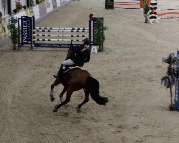 Reitturnier Borken 2023