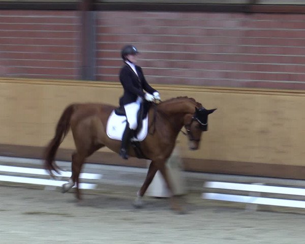Reitturnier Hamburg-Friedrichshulde/Sylva Kuhrt 2023