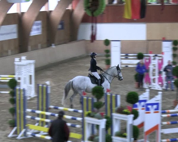 Reitturnier Hövelhof 2023