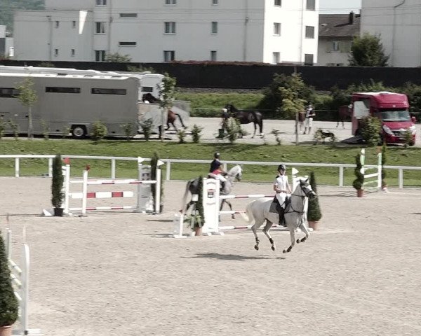 Pferdesporttage Bülach 2021