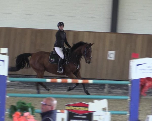 Reitturnier Zwickau 2023