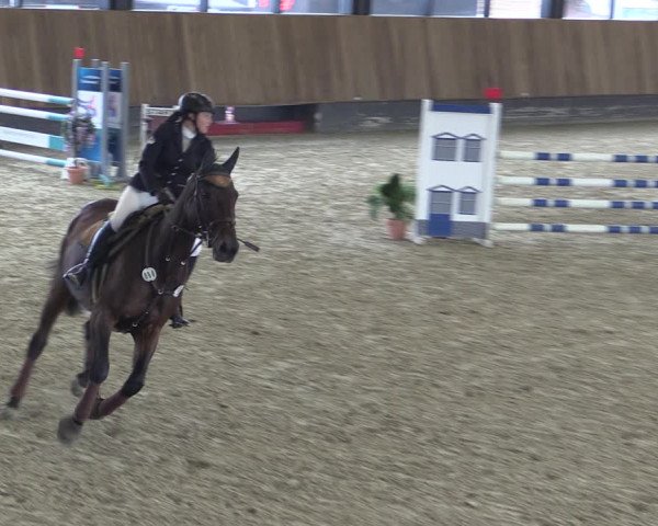 Reitturnier Zwickau 2023