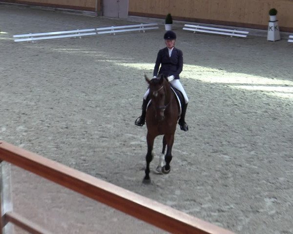 Reitturnier Hamburg-Friedrichshulde/Sylva Kuhrt 2023