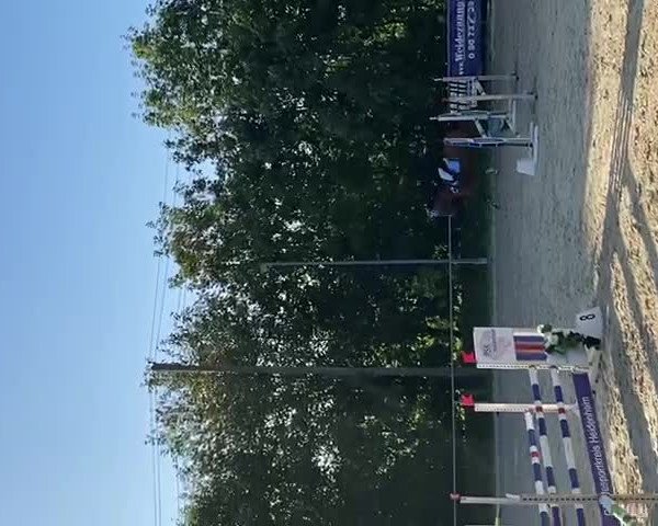 Video of Libelle for Passion