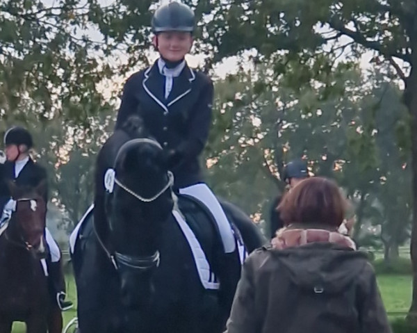 dressage horse Flavio 69 (Oldenburg, 2017, from Florenz 71)