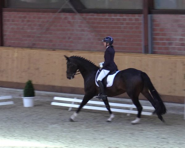 Reitturnier Hamburg-Friedrichshulde/Sylva Kuhrt 2023