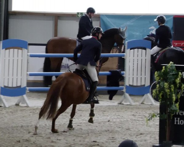 Reitturnier Borken 2023