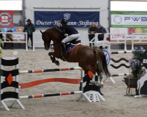 Reitturnier Borken 2023