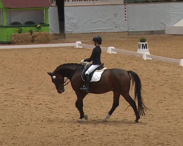 Reitturnier Kreuth 2023
