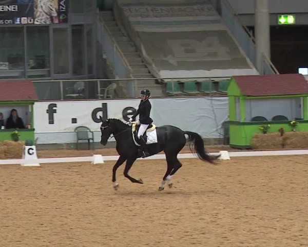 Reitturnier Kreuth 2023