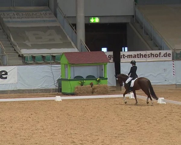 Reitturnier Kreuth 2023