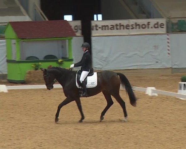 Reitturnier Kreuth 2023