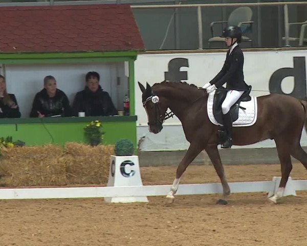 Reitturnier Kreuth 2023