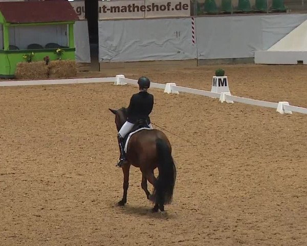 Reitturnier Kreuth 2023