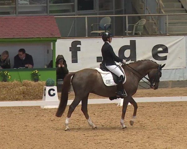 Reitturnier Kreuth 2023