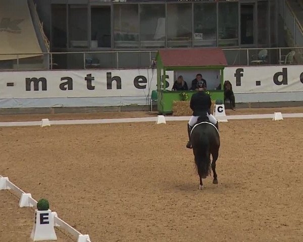 Reitturnier Kreuth 2023