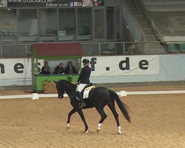 Reitturnier Kreuth 2023