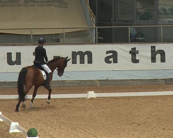 Reitturnier Kreuth 2023