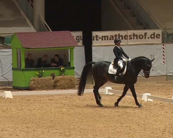 Reitturnier Kreuth 2023