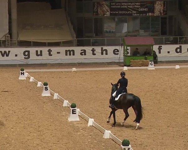 Reitturnier Kreuth 2023
