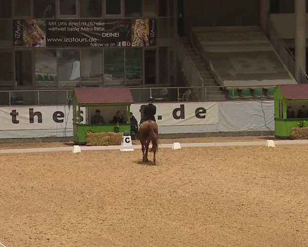 Reitturnier Kreuth 2023