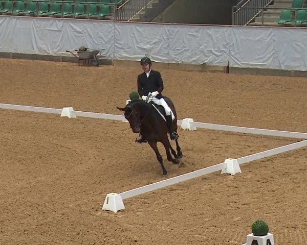 Reitturnier Kreuth 2023