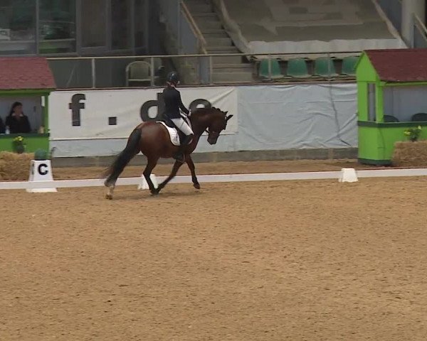 Reitturnier Kreuth 2023
