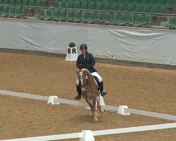 Reitturnier Kreuth 2023