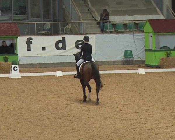 Reitturnier Kreuth 2023