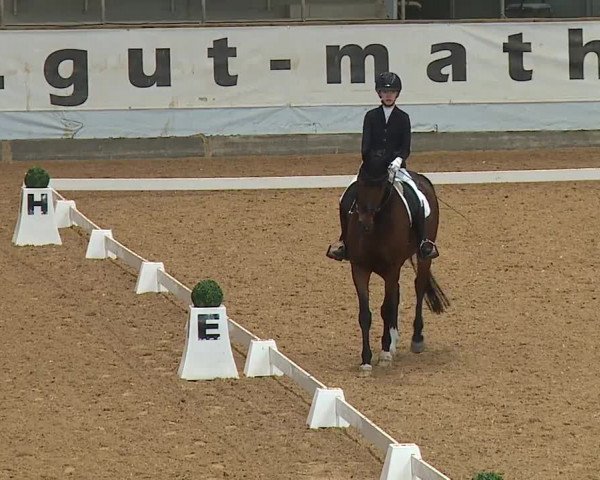 Reitturnier Kreuth 2023