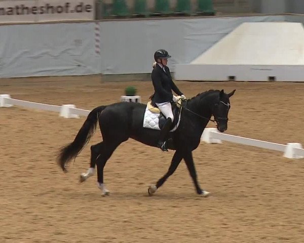 Reitturnier Kreuth 2023