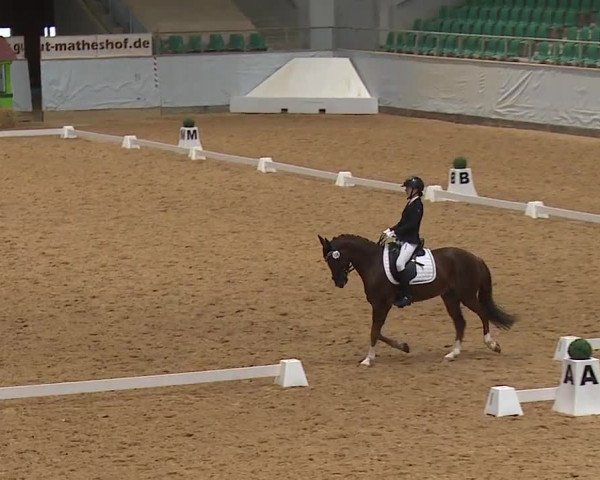 Reitturnier Kreuth 2023