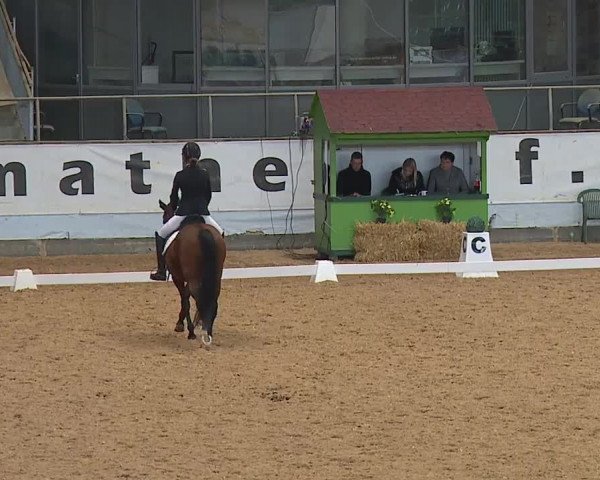 Reitturnier Kreuth 2023