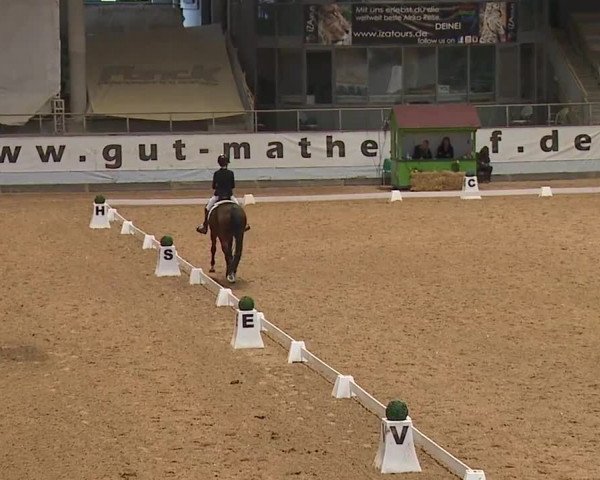Reitturnier Kreuth 2023