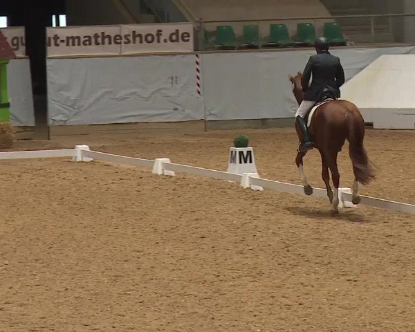 Reitturnier Kreuth 2023