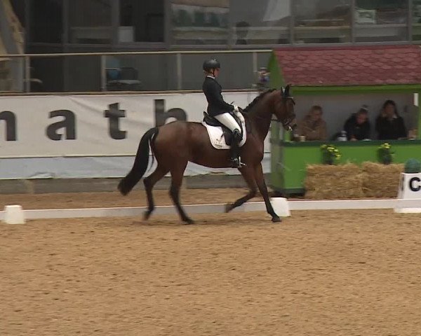Reitturnier Kreuth 2023